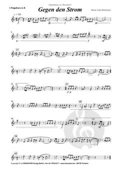 Gegen den Strom von Andreas Buchmeyer 