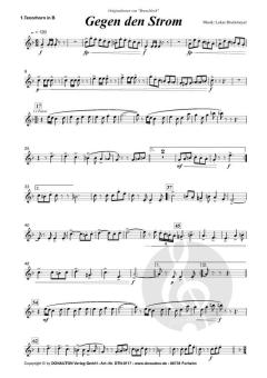 Gegen den Strom von Andreas Buchmeyer 