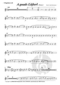 A guads Lüfterl von Lukas Bruckmeyer 