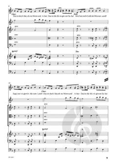 Die Königin von Saba von Henrike Thies-Gebauer 