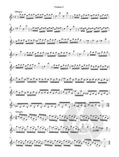 6 Concerti op. 1/3-4 von Giuseppe Antonio Brescianello 