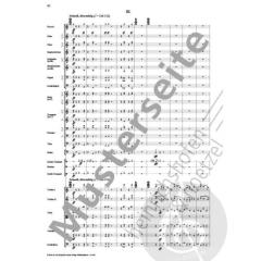 Sinfonie Nr. 1 op. 14 von Max Baumann 