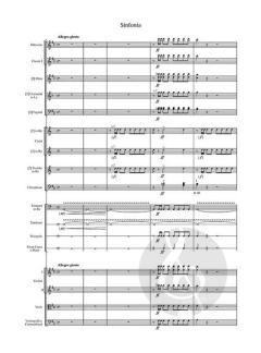 I Capuleti e i Montecchi von Vincenzo Bellini 