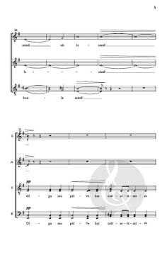 Taaveti laul Nr. 141 von Cyrillus Kreek 