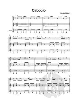 Die Reise nach Brasilien von Martin Müller 