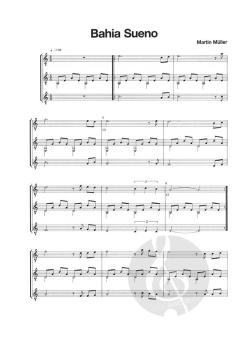 Die Reise nach Brasilien von Martin Müller 