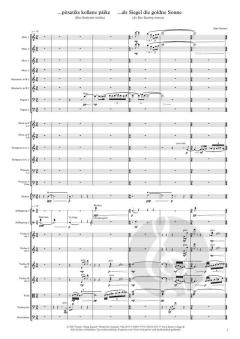 ...pitsatiks kollane Päike (...als Siegel die gold'ne Sonne) von Mari Vihmand 