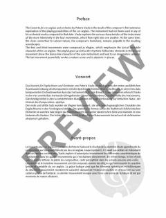 Konzert  von Pēteris Vasks 