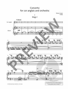 Konzert  von Pēteris Vasks 