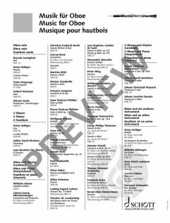 Konzert  von Pēteris Vasks 