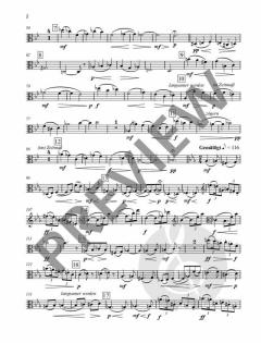 Veränderungen d-Moll op. 94  von Johanna Senfter 