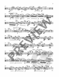 Veränderungen d-Moll op. 94  von Johanna Senfter 