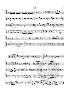 Flötenkonzert Nr. 3 D-Dur von Carl Stamitz 