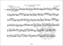 Canyon von Kevin Puts 