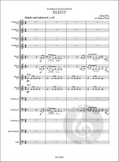 Elegy von Kevin Puts 