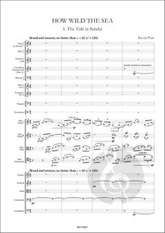 How Wild the Sea von Kevin Puts 