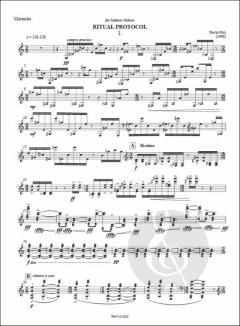 Ritual Protocol von Kevin Puts 