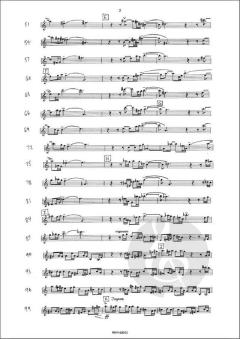 Simaku von Kevin Puts 