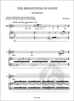 The Brightness of Light von Kevin Puts 