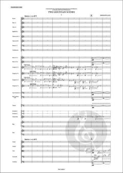 2 Mountain Scenes von Kevin Puts 