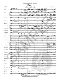 Elegy in the Baroque Style von James Barnes 