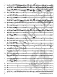 Elegy in the Baroque Style von James Barnes 