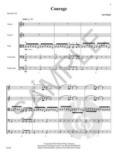 Courage von Ash Madni 
