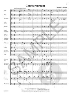 Countercurrent von Timothy P. Stakem 