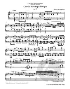 Sämtliche Sonaten für Klavier 1 von Ludwig van Beethoven 