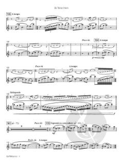 SalTIMbanco von Jan van der Roost 