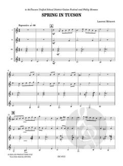 Spring in Tucson von Laurent Méneret 