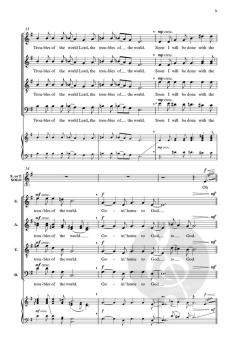 Goin' home to God von Steve Barnett (Download) 