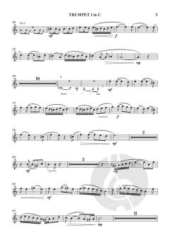 A Song for St Cecilia von Cecilia McDowall (Download) 