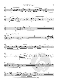 A Song for St Cecilia von Cecilia McDowall (Download) 