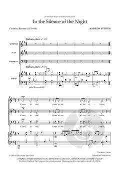 In the Silence of the Night von Andrew Steffen (Download) 