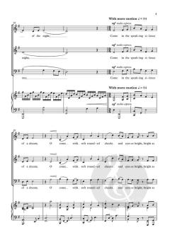 In the Silence of the Night von Andrew Steffen (Download) 