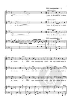 In the Silence of the Night von Andrew Steffen (Download) 