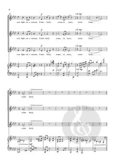 In the Silence of the Night von Andrew Steffen (Download) 