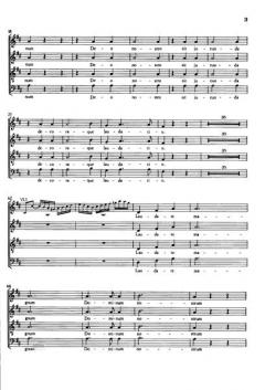 Laudate Populi (Johann Michael Haydn) 