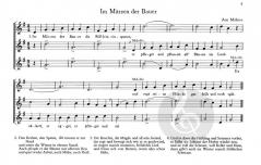 Spiel mit 3 Blockflöten (SSS) im Alle Noten Shop kaufen