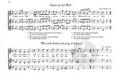 Spiel mit 3 Blockflöten (SSS) im Alle Noten Shop kaufen