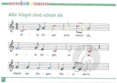 Meine bunten Noten für Klavier, Keyboard, Melodica und Triola  im Alle Noten Shop kaufen