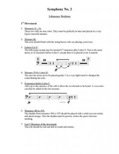 The Brahms And Tchaikowsky Symphonies 