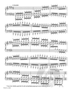 Russian Technical Regimen Volume 1 Scales In Single Notes von Alexander Peskanov 