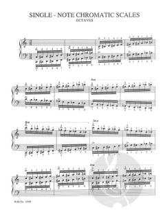 Russian Technical Regimen Volume 1 Scales In Single Notes von Alexander Peskanov 