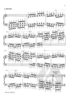 Russian Technical Regimen For Piano Vol. 5 von Alexander Peskanov 