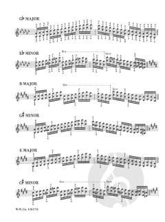 Russian Technical Regimen For Piano Vol. 5 von Alexander Peskanov 