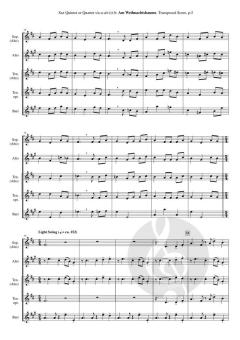 Am Weihnachtsbaume die Lichter brennen von Bernd Frank 