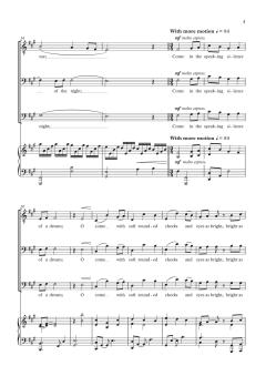 In the Silence of the Night von Andrew Steffen (Download) 