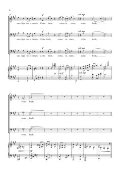 In the Silence of the Night von Andrew Steffen (Download) 